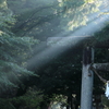 神降臨
