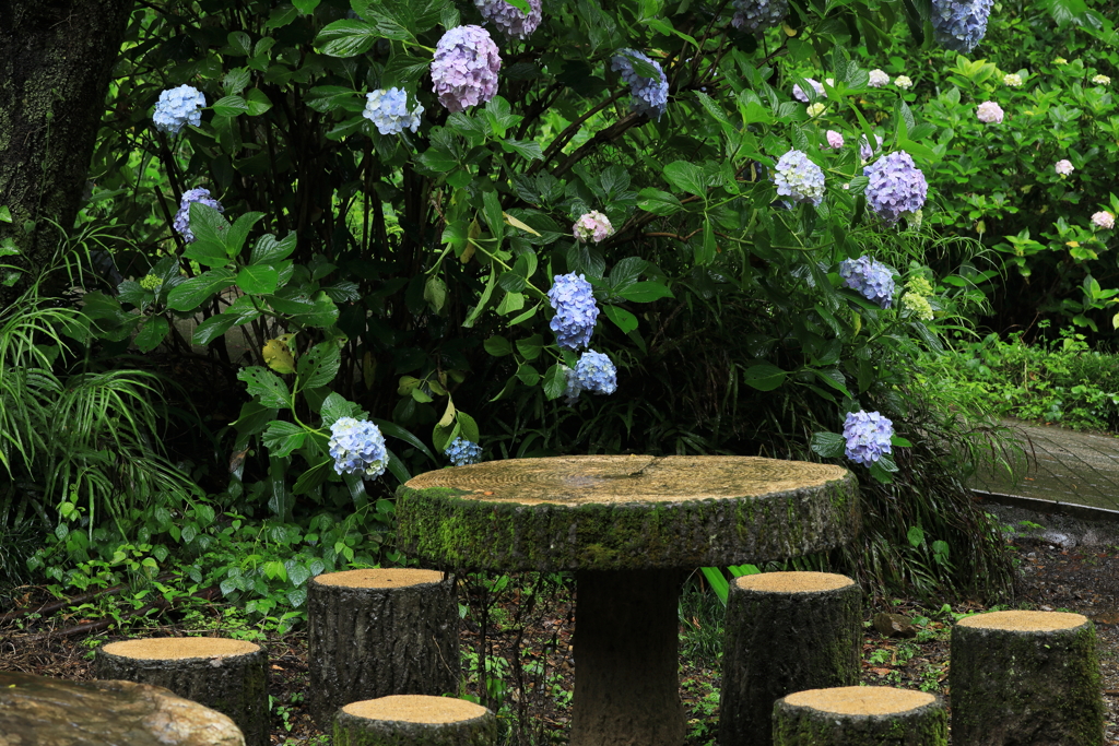 華やぐ憩いの場