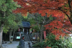 近所の神社にて