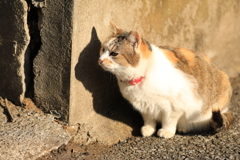 石壁の前にて ２