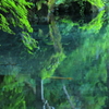 青紅葉と水彩画の風景