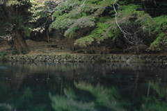 リフレクション