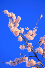 青空に笑顔