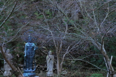 寒さに耐える本尊