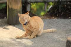 柱の前にて