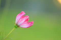 朝日に向かって