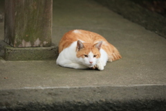 柱のそばにて