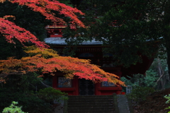 本堂にかかる秋