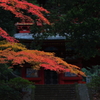 本堂にかかる秋