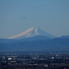 今日の富士山