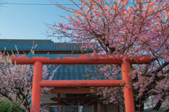 神社の朝
