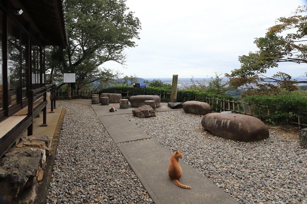 神社の庭にて