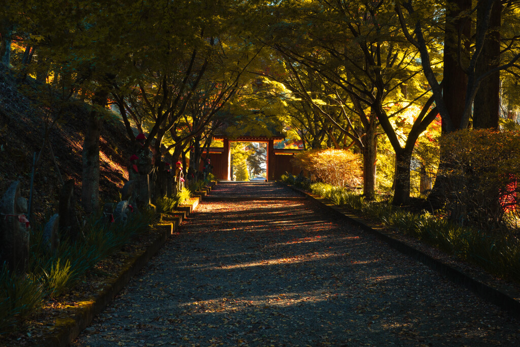 朝の日差し