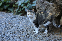 砂利の上にて