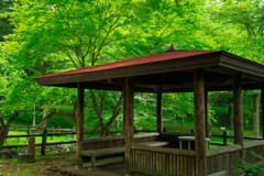 朝の涼み場