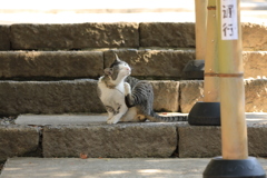 くつろぎ