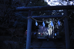 神社の参道にて 神社の参道にて