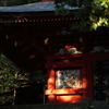 朝の日照りを受けた本堂
