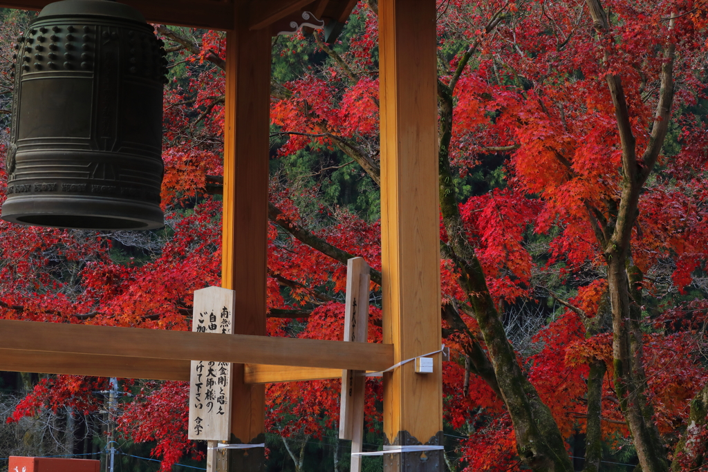 鐘の向こうの彩り