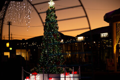 日没のクリスマス