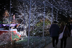 雪の奥へ消えて