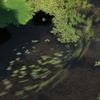 時の流れ