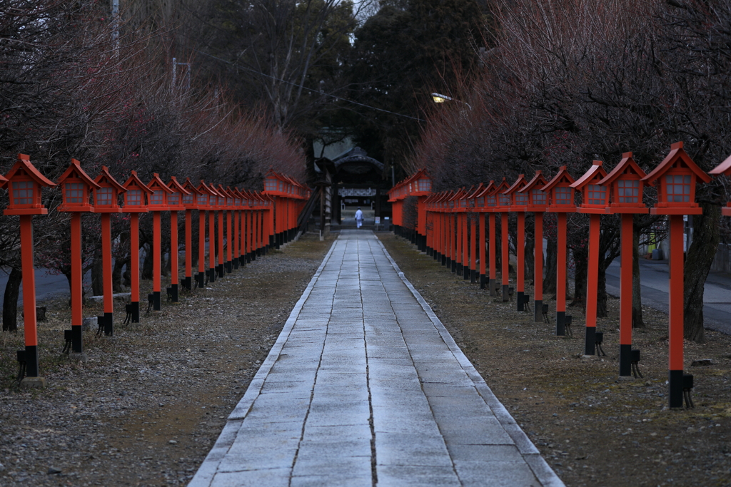 朝の参拝