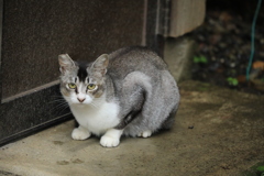 ドアの前にて
