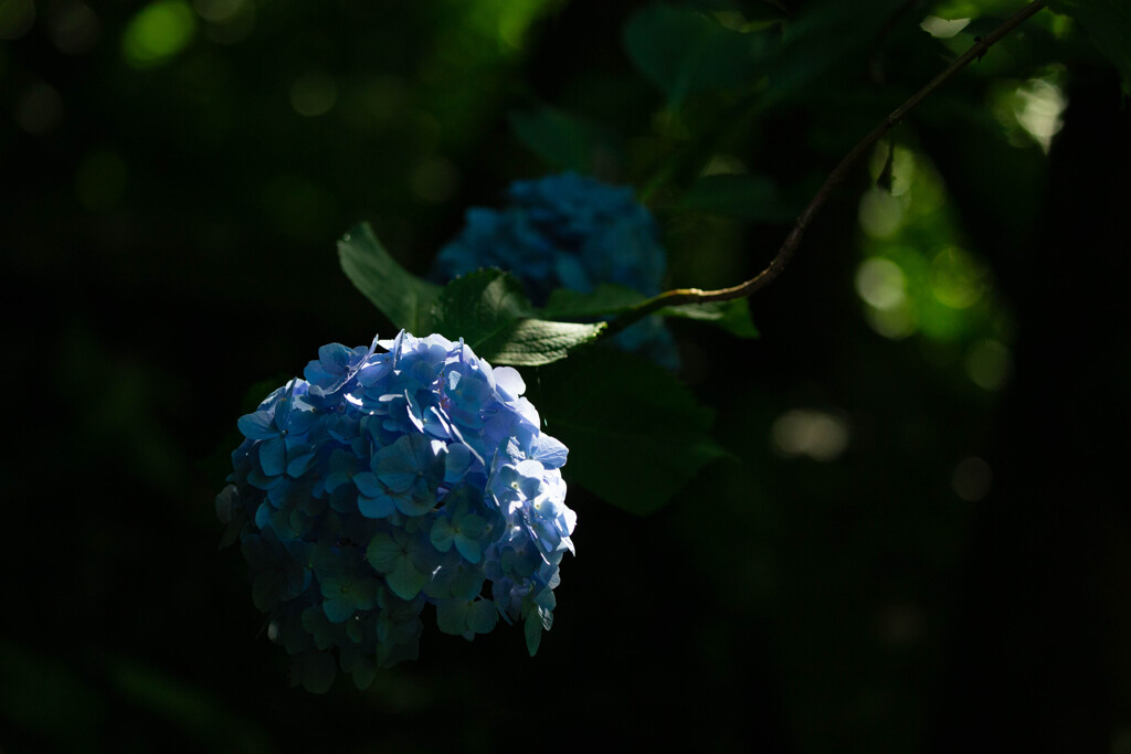 蒼い月面