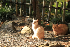 朝日を浴びて　その２