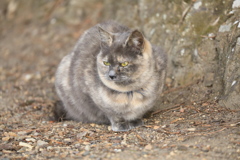 崖のそばにて