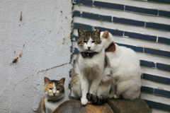 集合写真