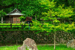 木々と小寺