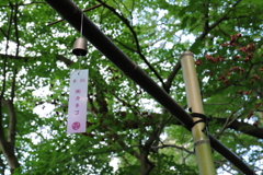 夏の風物詩、風鈴。神社にて