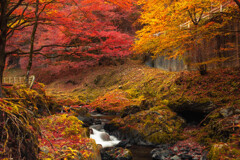 せせらぎの流れ