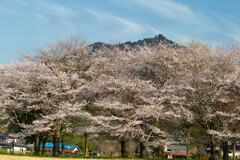 空と山と桜と