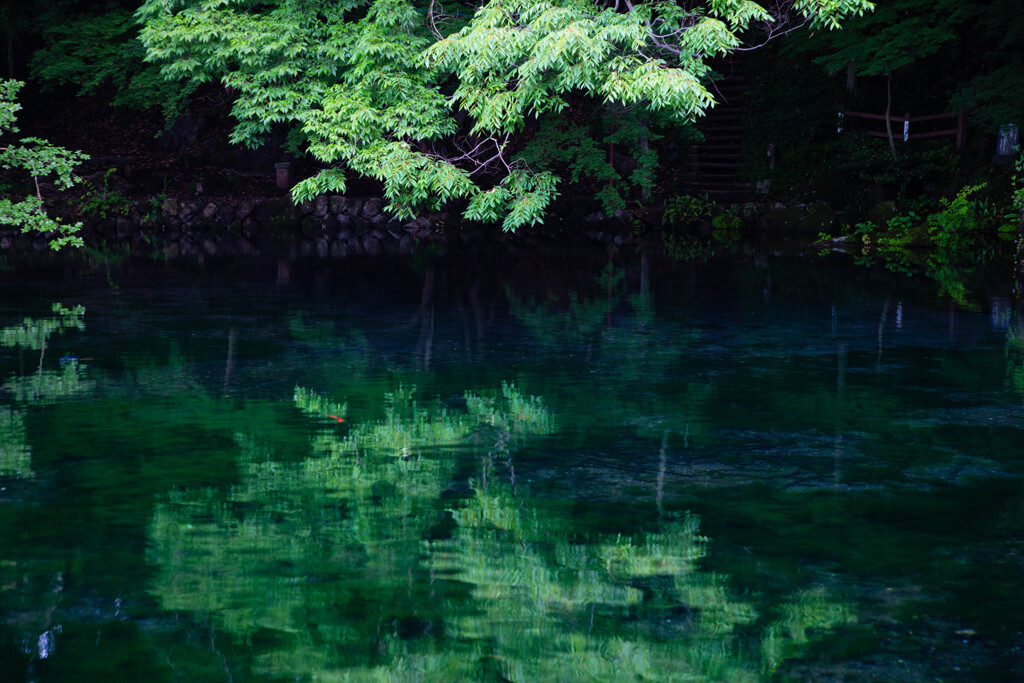 朝の静寂