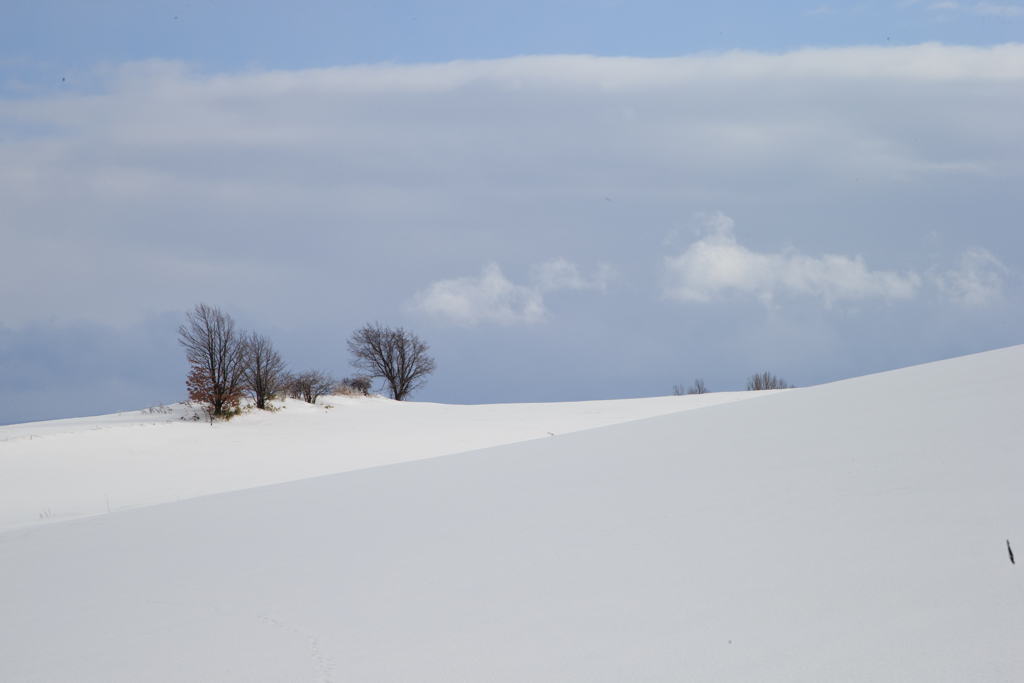 雪の光