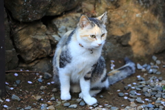 崖の前にて