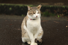 ひとり佇む