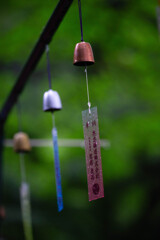 風に揺れる