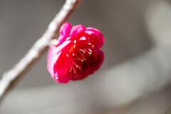 照らす