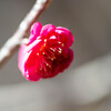 照らす