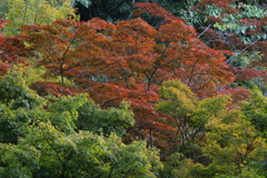 二色あい見える