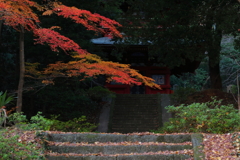 石段の上の秋