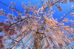 怒涛の如く
