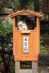 家主