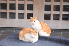 玄関の前にて