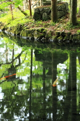 池の中の森