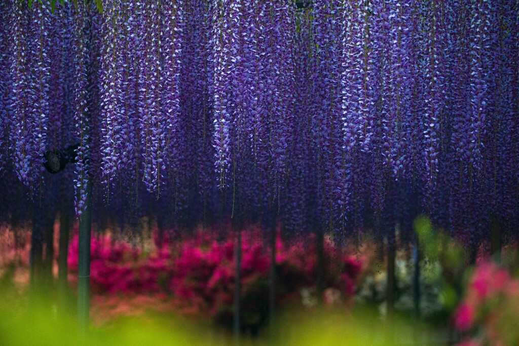 滲む夢 by ヒデボー (ID:13497338) - 写真共有サイト:PHOTOHITO